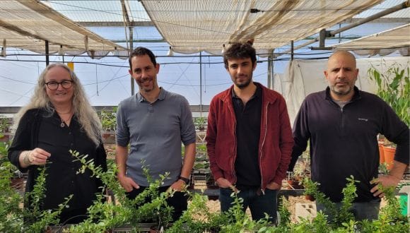 Tel-Aviv University. Recherches sur l’amélioration du processus de clonage naturel des plantes