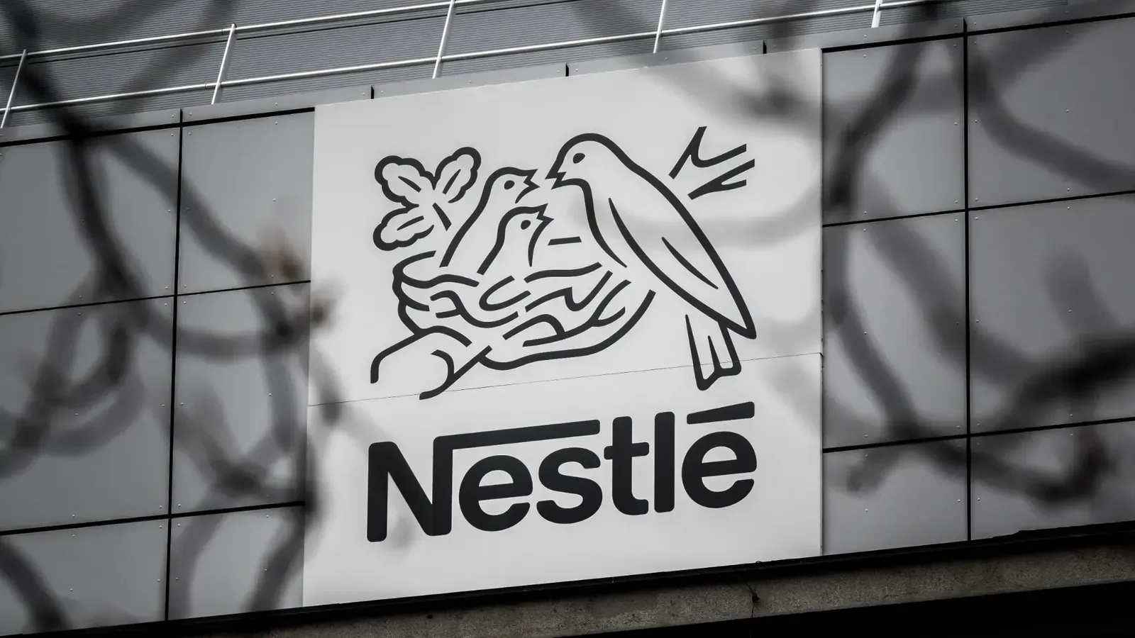 Agro-Alimentaire. Nestlé fait bénéficier Israël de sa puissance de frappe en matière de R&D.