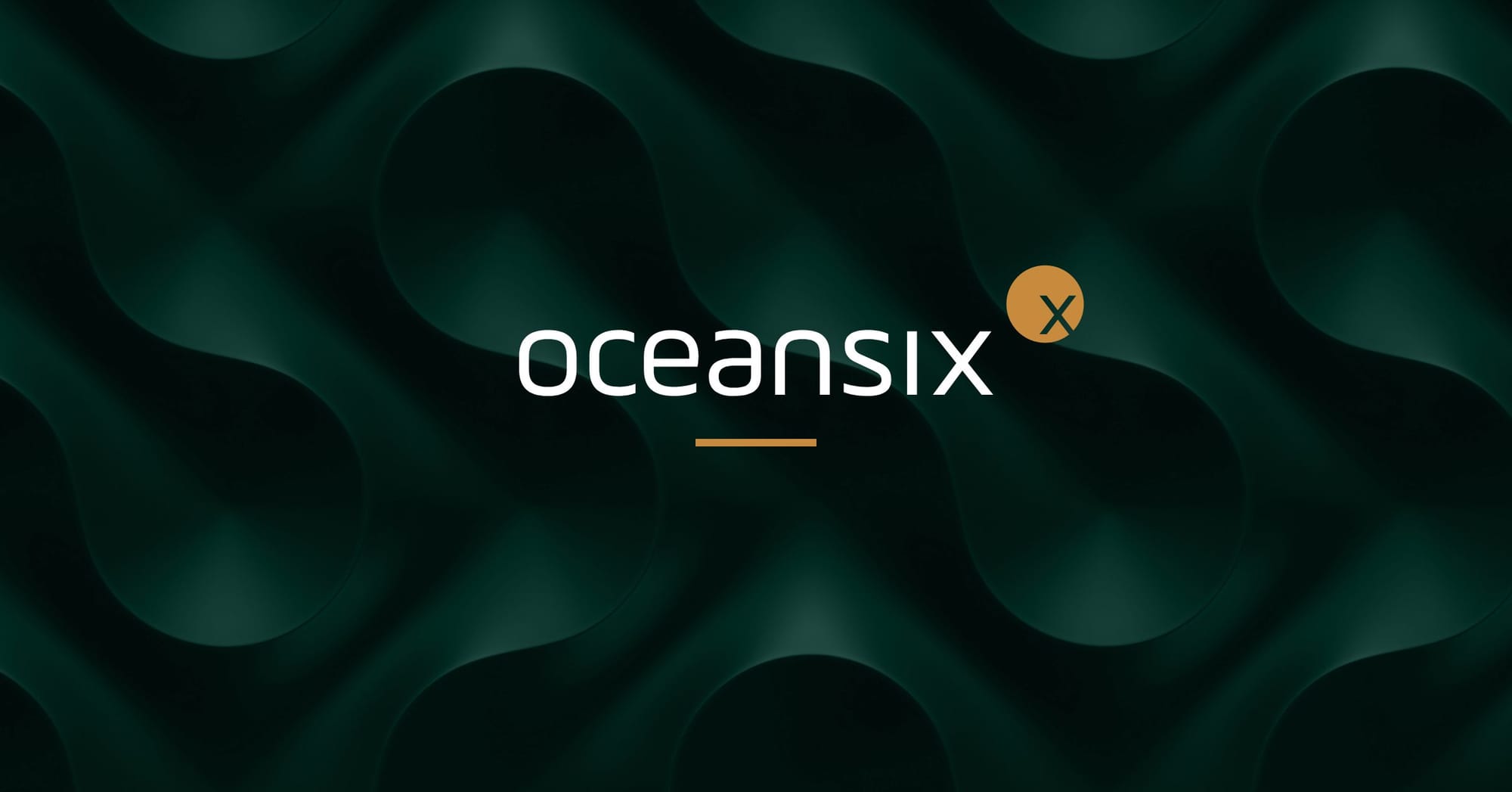 Développement durable : L’israélien oceansix future paths fait l’acquisition d’Original RePack Oy.