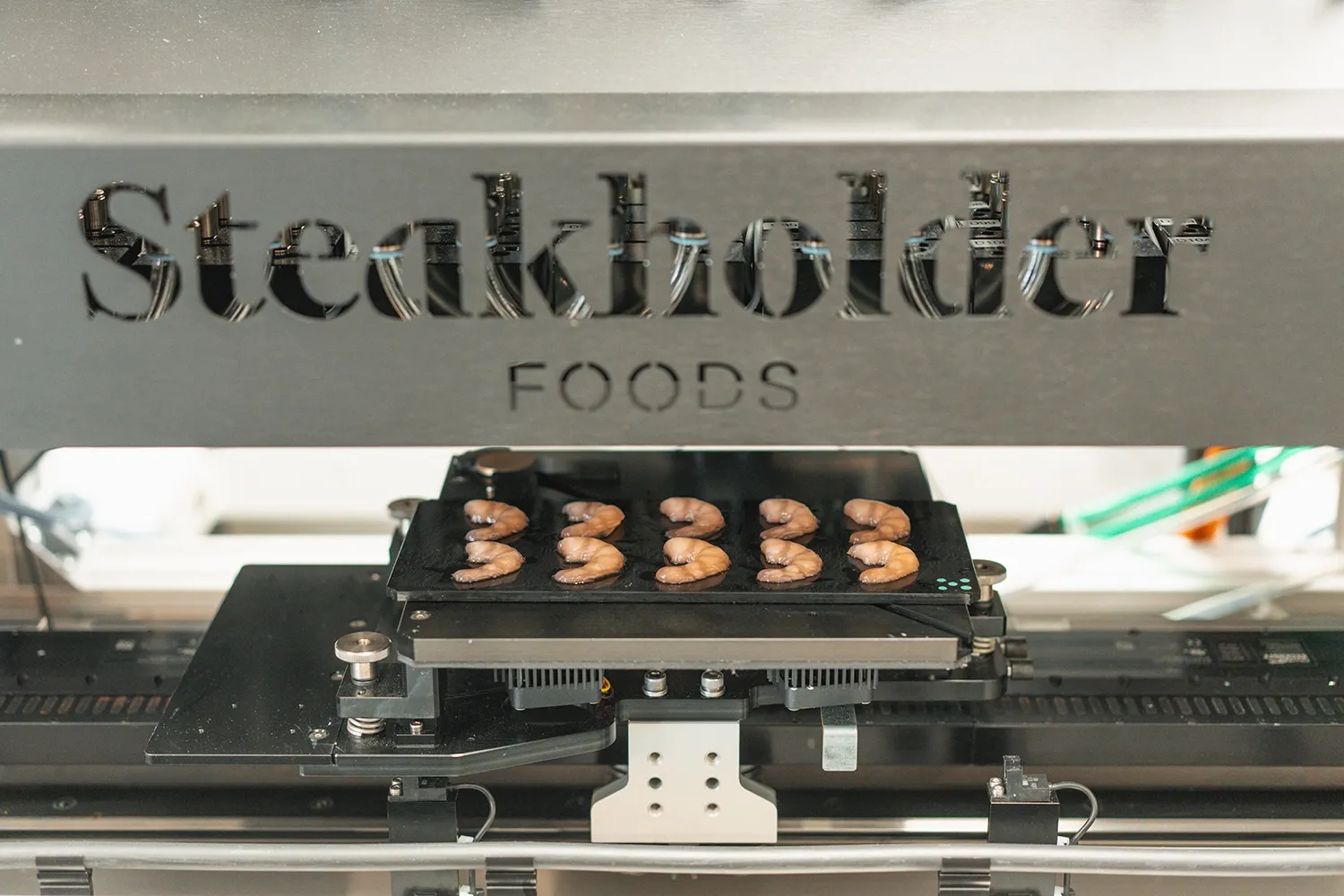 Protéines alternative : Steakholder Foods reçoit sa 1ère commande avec Wyler Farm.