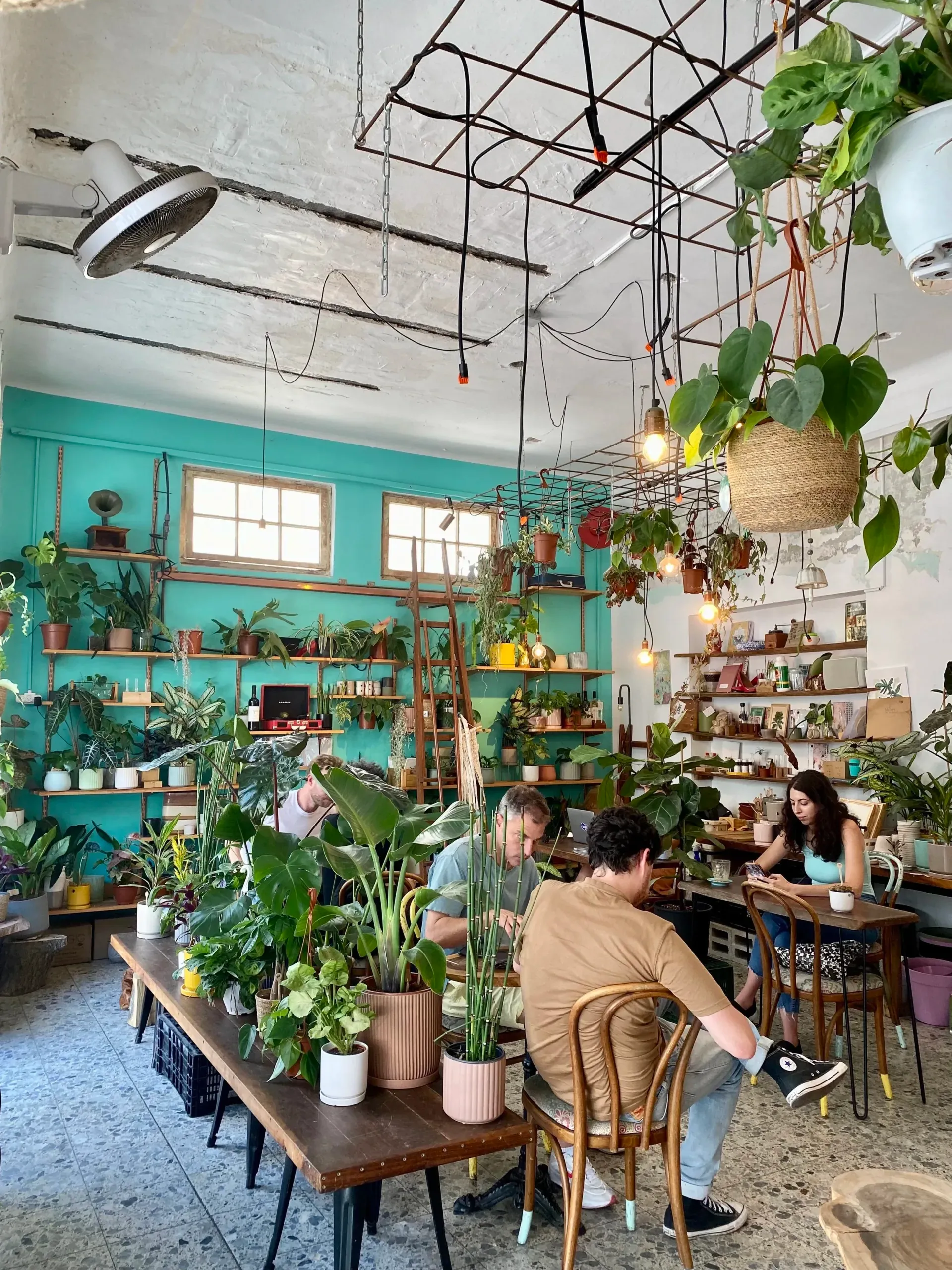En Israël, on voit plus d’ordinateurs portables que de gens assis à la terrasse d’un café.
