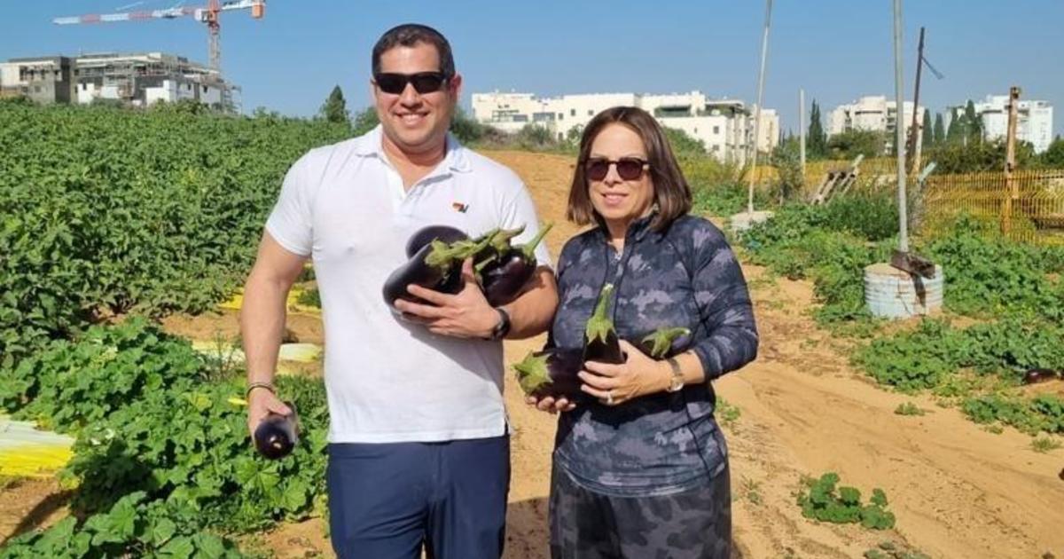 Des volontaires affluent en Israël pour récolter des fruits et des légumes.