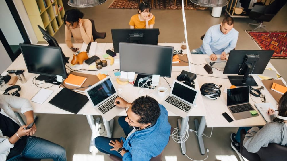 Tsofen, fondée par des professionnels juifs et arabes du high tech.