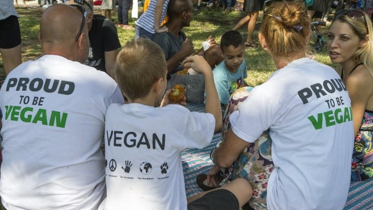 JeuxValley. Tsahal propose-elle des bottes en cuir vegan à ses soldats?