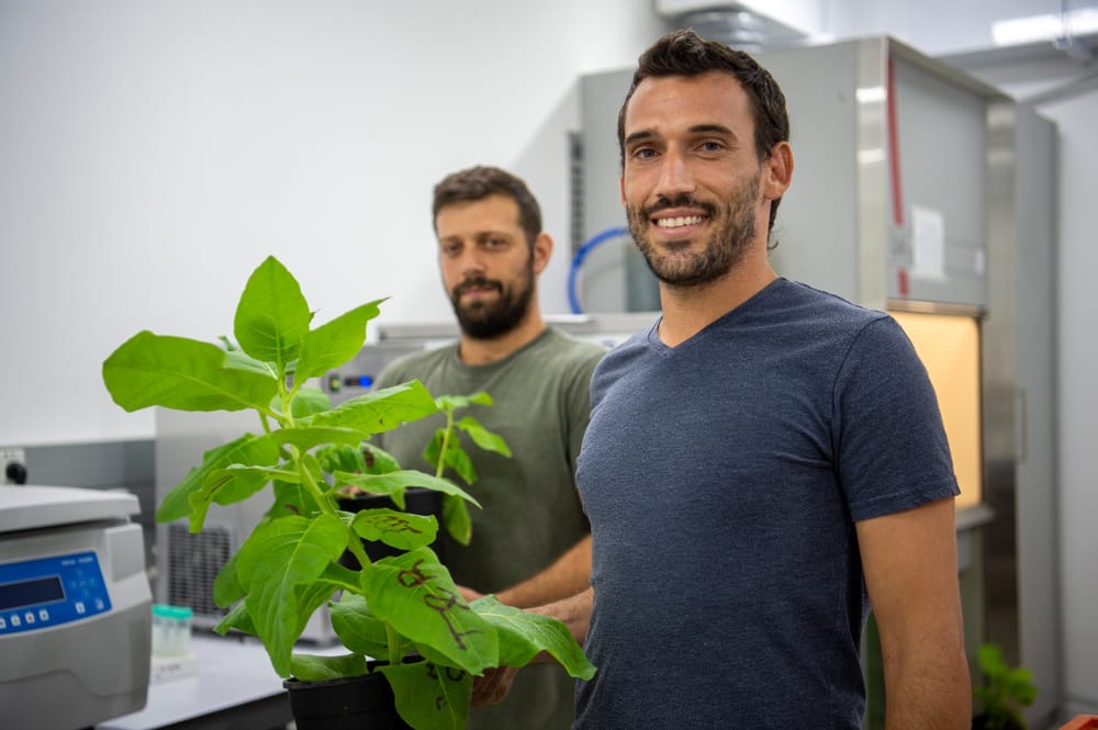 A l’Honneur. Le Kibbutz Yotvata et la start-up d’agritech, Pigmentum.