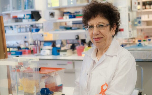 Neuroscientifiques de l’Université Ben Gurion. Une recherche très intéressante.
