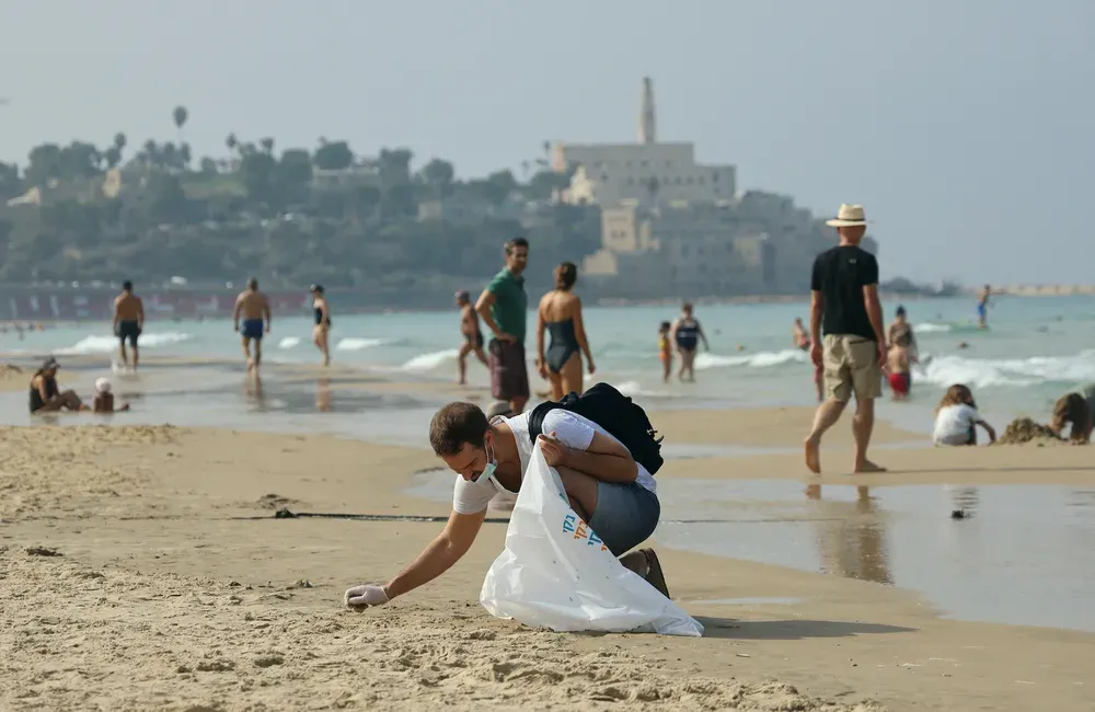 Le nombre de nids de tortues marines sur les côtes israéliennes en croissance.