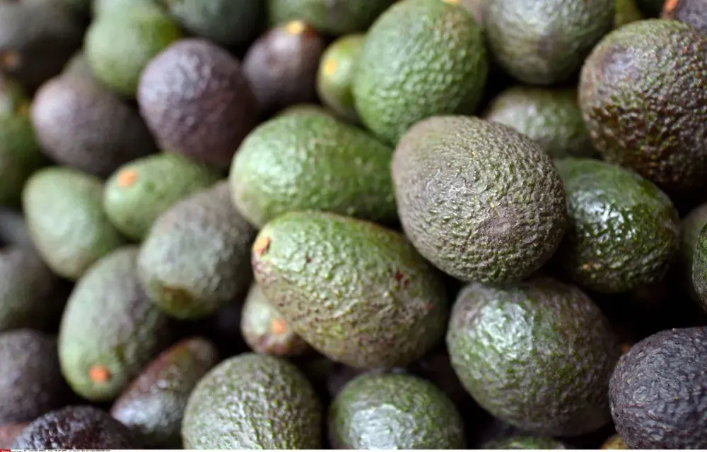 Détox. En France, des supermarchés cachent-ils l’origine de leurs légumes en provenance d’Israël ?