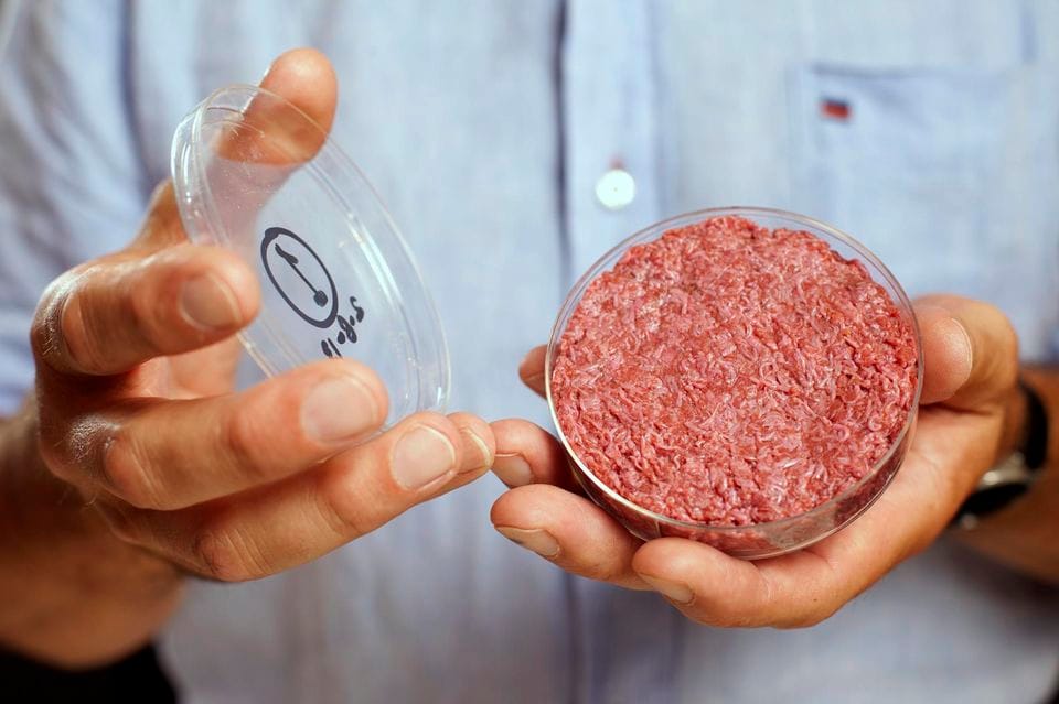«Burger cellulaire». L’entreprise Beyond Meat (Israël), un succès à venir?