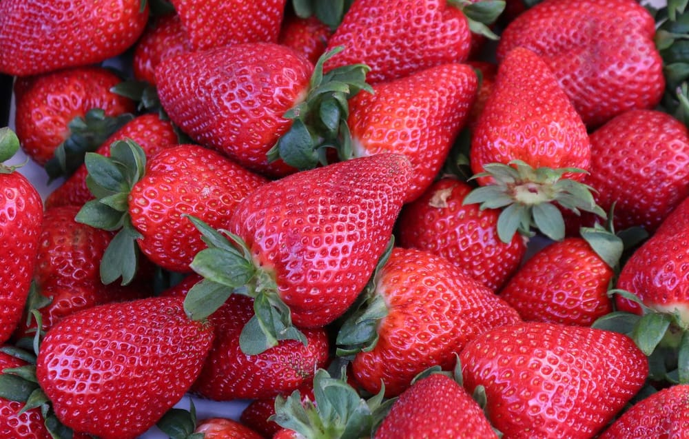 Quizz de Pessah. Où sont cultivées les excellentes et magnifiques fraises en Israël ?