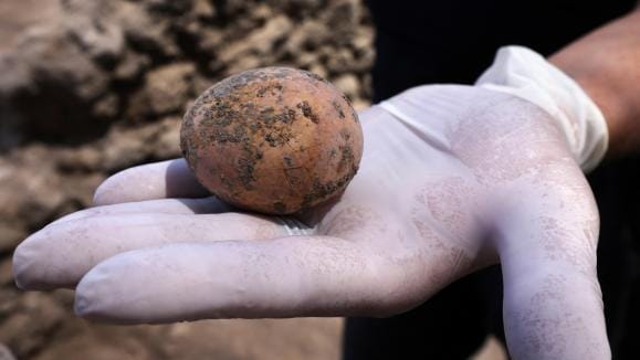 Amusant et extraordinaire. Un oeuf vieux de 1 000 ans retrouvé en Israël.