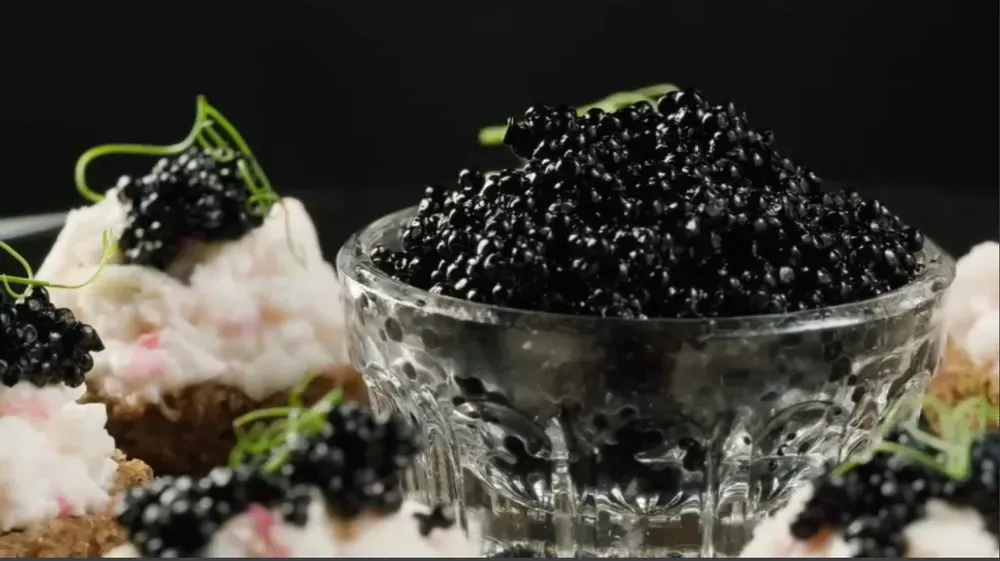Karat Caviar venant d’Israël. Or noir gastronomique.
