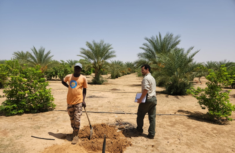 Israël aide le Tchad à mettre en œuvre des solutions agricoles créatives et durables.
