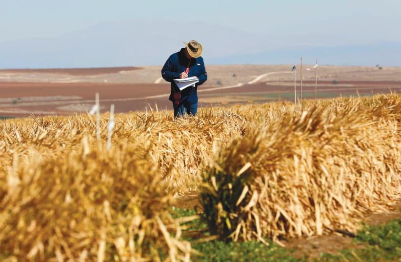 C’Israël. SupPlant, Arugga. Des start-ups agro technologiques de pointe.