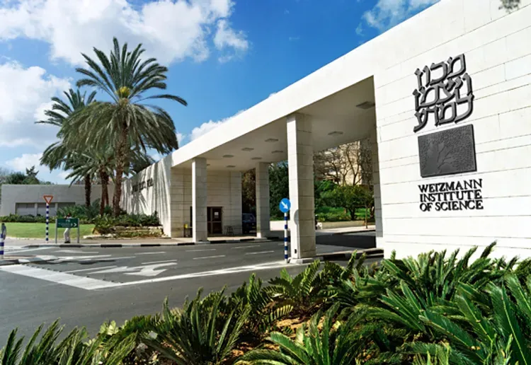 Traitements des maladies du sang. Les scientifiques de l’Institut Weizmann en action.