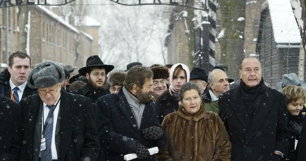 « La faim et le froid ». 189 500 survivants de la Shoah vivent en Israël.