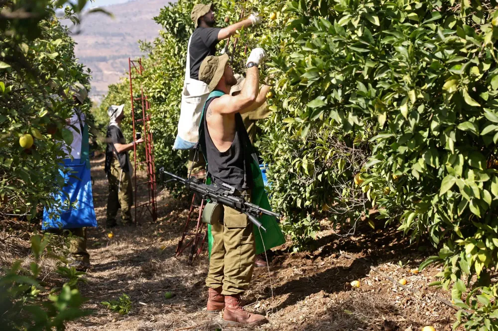 Economie Israël. Quelles sont les grandes lignes du budget 2025, qui doit être voté prochainement à la Knesset?