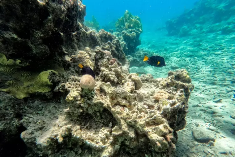 Arrêt de la promotion des collaborations entre les villes touristiques d’Aqaba et d’Eilat?