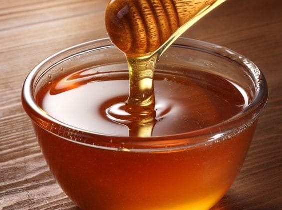 Spécial d’IsraelValley. Acheter du miel de Notre Dame à l’avenir? Les abeilles ont-elles survécu aux flammes?