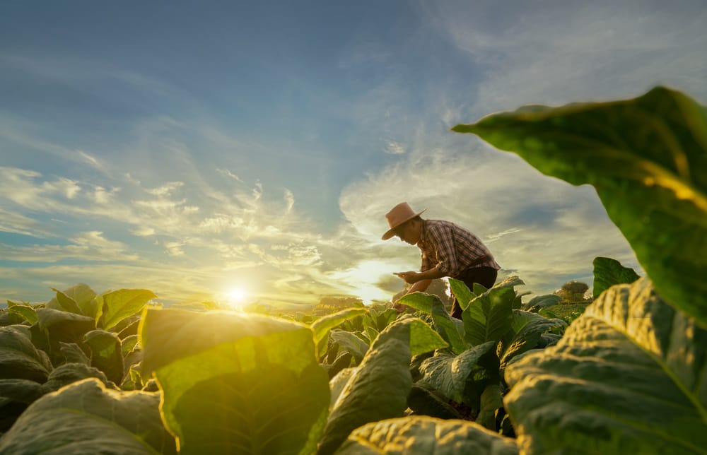 Israël et Pakistan, un avenir nouveau? Technologies agricoles et de réutilisation de l’eau.