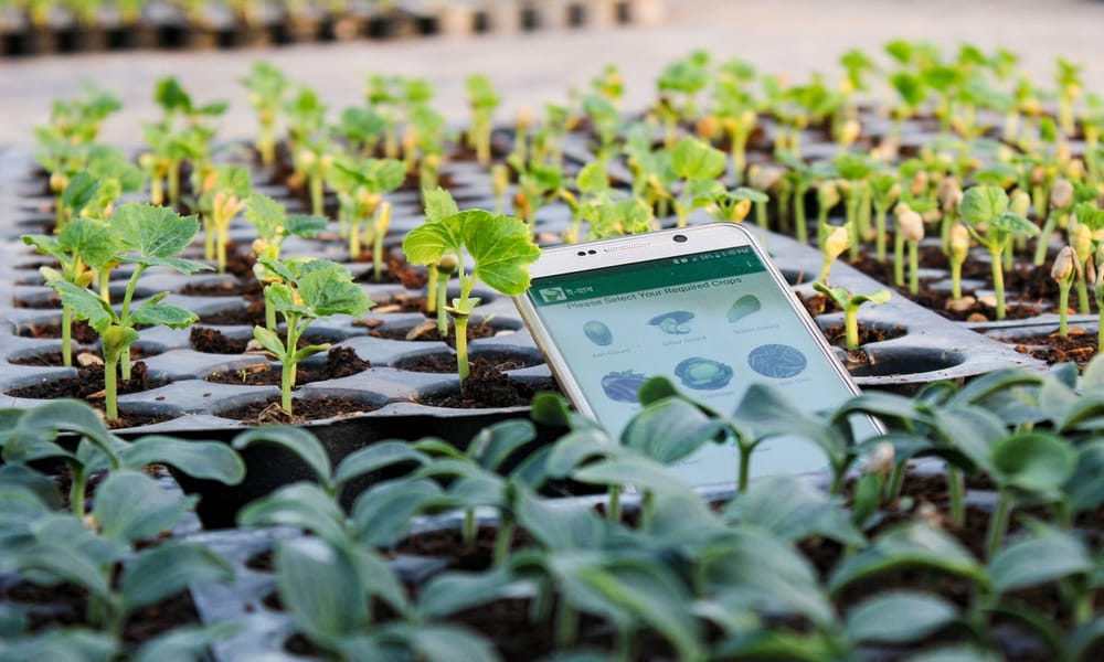 L’Union Européenne étudie les compétences israéliennes dans le secteur agro-technique.