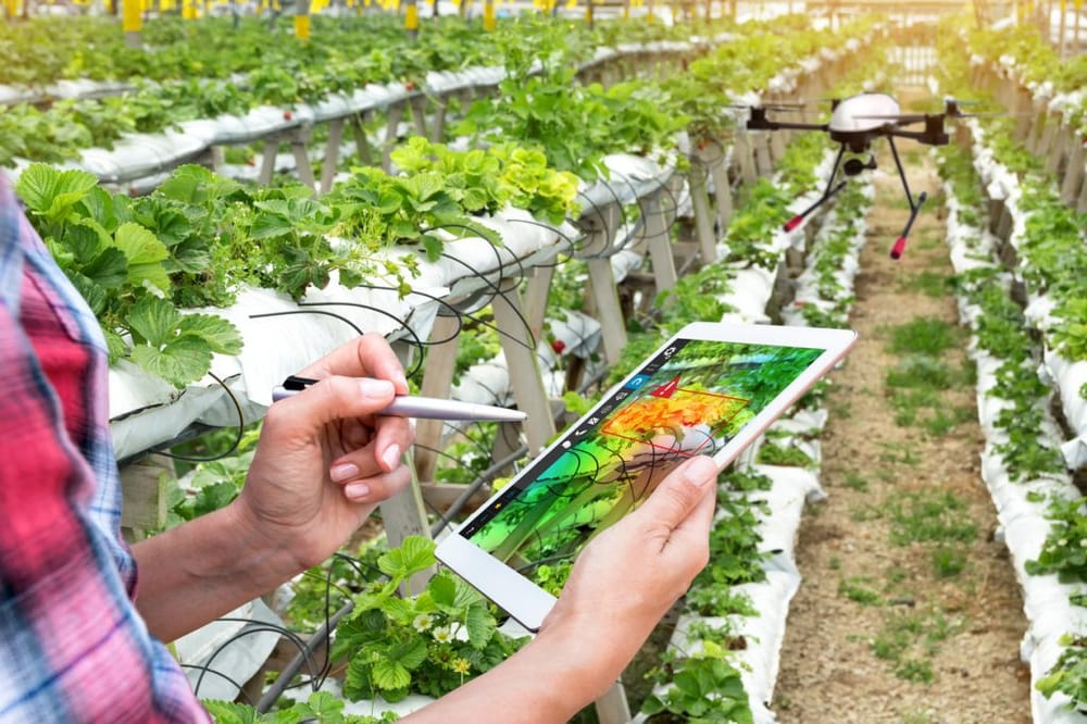 De Tel-Aviv. « L’agro-tech a un réel impact sur l’avenir du monde ».