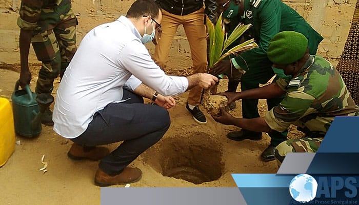 Sénégal. 500 plants d’arbres offerts par l’Ambassade d’Israël.