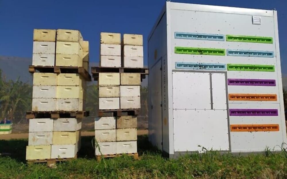 Israël Abeille. La 1ère ruche automatisée et autonome nommée le « Beehome ».