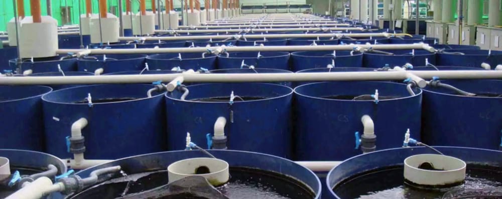 Watershed, Evogene et l’Université Ben-Gurion subventionnés pour développer les produits basés sur les sciences de la vie,