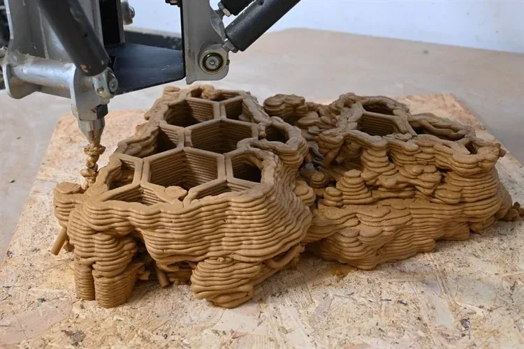 C’Israël. L’impression 3D au secours des coraux en danger.