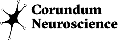 Le fonds israélien Ventures devient Corundum Neuroscience pour stimuler l’innovation technologique des neurosciences.
