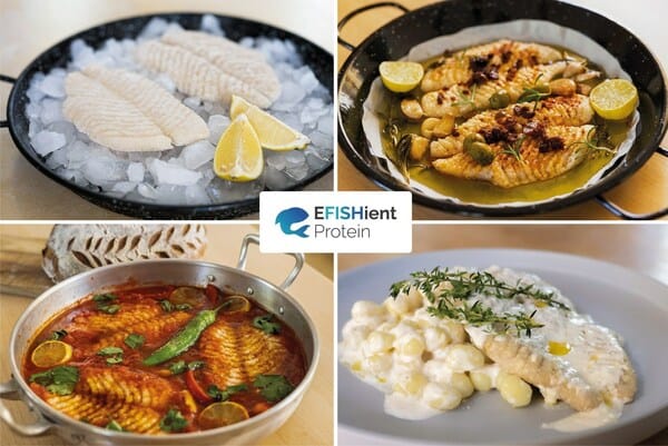 C’Israël. EFISHient Protein, leader mondial de l’industrie du poisson cultivé.