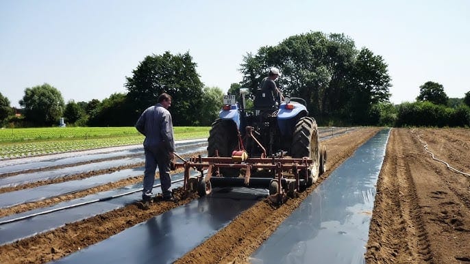 Agriculture : Coopération américano-israélienne pour des films de paillage durables pour réduire les déchets plastiques.