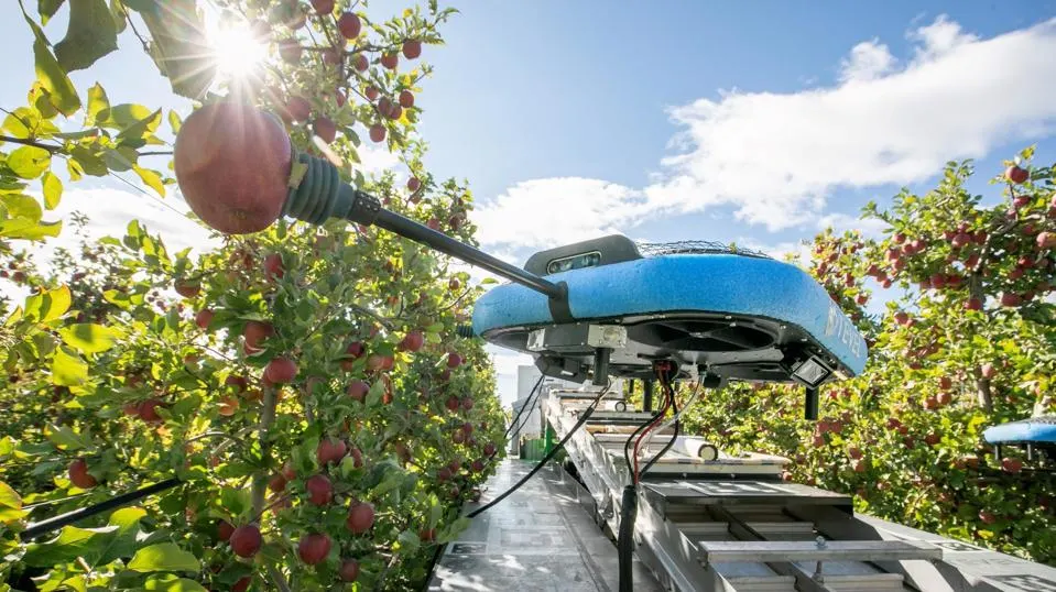 Israël améliore la sécurité alimentaire mondiale grâce à la technologie intelligente.