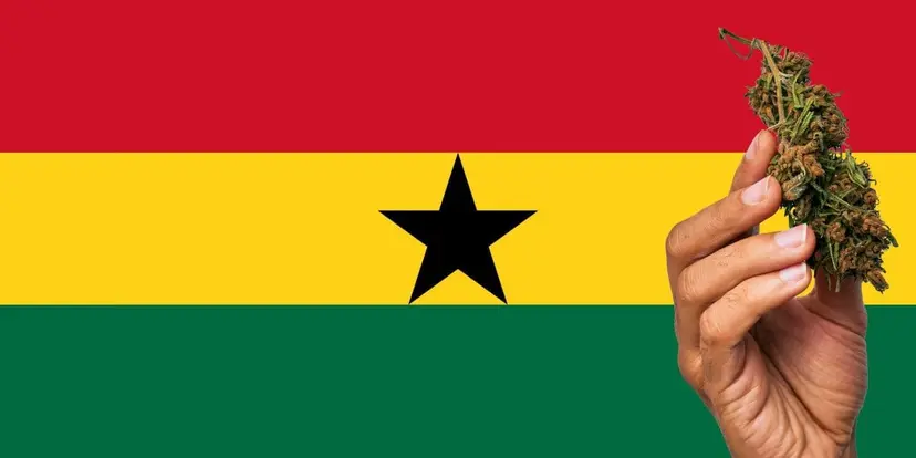 Au Ghana, Israël aide l’exploitation du cannabis, moteur économique-clé grâce à l’infusion de technologies.