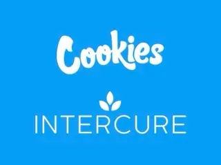 Cannabis. L’israélien InterCure étend son partenariat stratégique avec l’allemand Cookies.