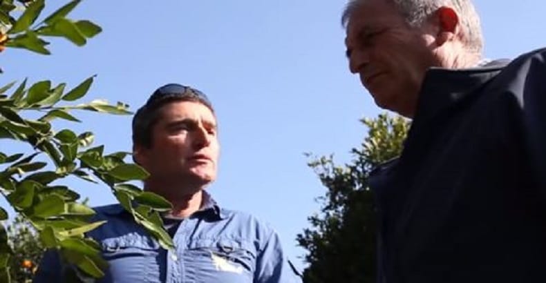« Le Waze des arbres ». Israël Talpaz a créé un réseau spécial « surveillance arbres ».