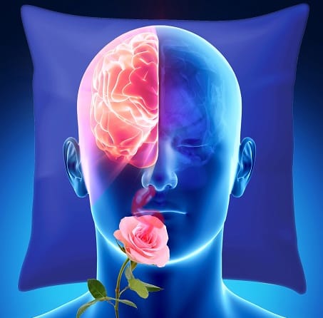 Recherches sur le Prozac à l’Institut Weizmann des sciences.