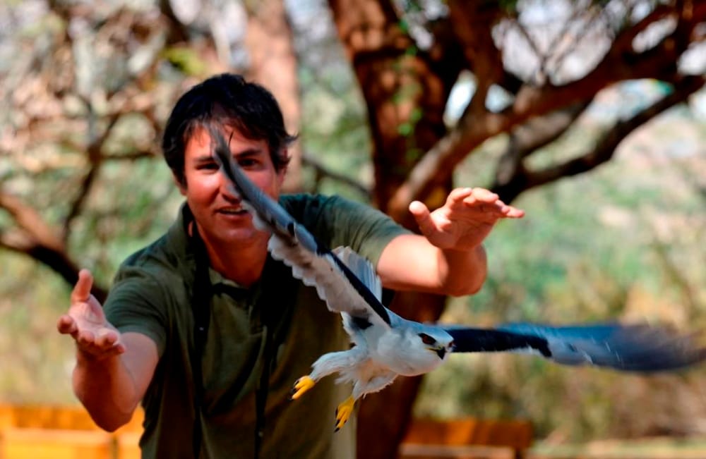 Noam Weiss, du Centre d’ornithologie et de recherche d’Eilat.