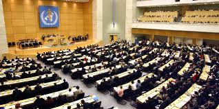 Importante contribution maroco-israélienne à l’ONU sur la prévention des pandémies.