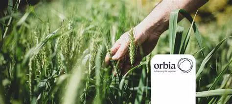 C’Israël. Une innovation d’Orbia Netafim pour protéger les vergers des vagues de chaleur extrêmes.