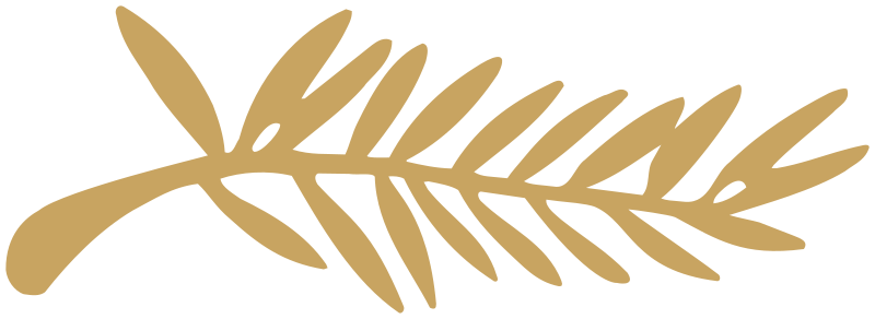 Festival de Cannes. En Israël aucune salle ne montrera le long-métrage « Yes » de Nadav Lapid. Des producteurs français ont permis de le faire exister.