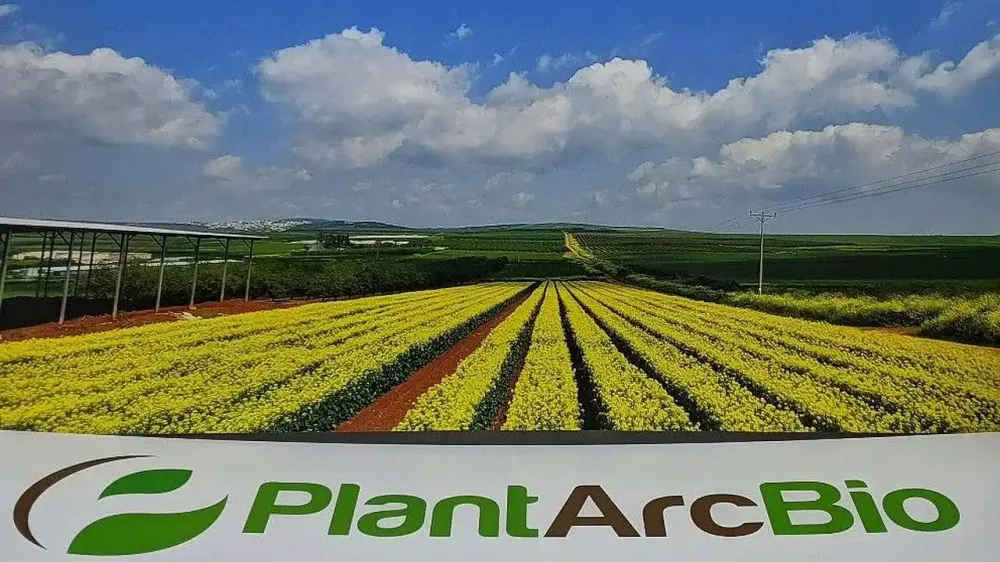 Partenariat israélo-coréen pour développer des sojas tolérants aux herbicides.