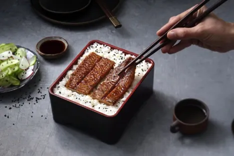 Le 1er filet d’anguille cultivé au monde, dévoilé dans un restaurant végétalien de Tokyo, est israélien.