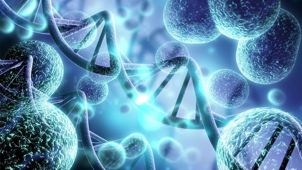 Collaboration US / Israël pour optimiser la fabrication de thérapies cellulaires.