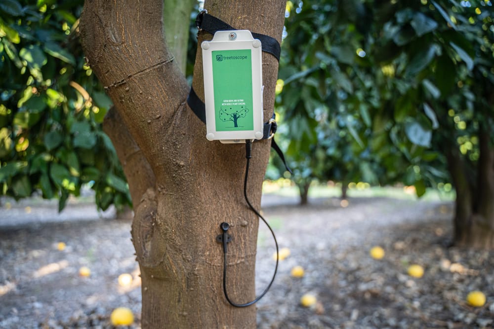Treetoscope (Tel-Aviv) permet l’expansion de la technologie des capteurs à base de plantes.