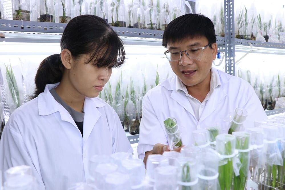 Science et ressources humaines : le Vietnam et Israël explorent de nouvelles synergies.