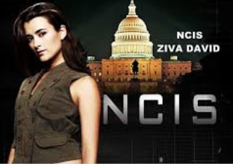 Série télévisée : avec NCIS, Zina David, l’ex-agente du Mossad revient sur les écrans.