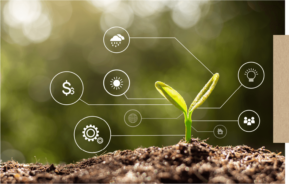 C’Israël. Agmatix lance une plateforme révolutionnaire pour soutenir la production alimentaire durable.