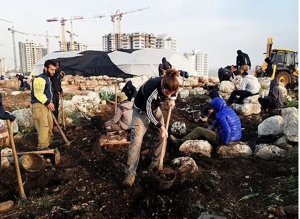 Une ancienne ferme découverte en Israël produisait des « céréales » il y a 2 800 ans.